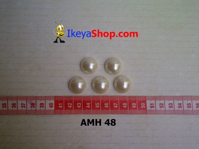 AMH 48  large2